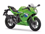 Kawasaki Ninja 125 I SOFORT VERFÜGBAR - KAWASAKI V 12
