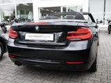 BMW 230i Cabrio Sport Line LED NAVI KLIMA LEDER SHZ - BMW 230 mit Benzin-Antrieb