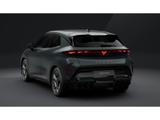 Cupra Raval Endurance Edition Dynamic *LED*ACC*CAM*SHZ - Cupra Raval Gebrauchtwagen