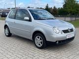 Volkswagen Lupo 1.0 Rave TÜV NEU 78.369 KM - Volkswagen Lupo mit Benzin-Antrieb