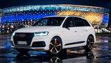 Audi SQ7 4.0 V8 TDI Quattro Inzahlungnahme... - : Inzahlungnahme