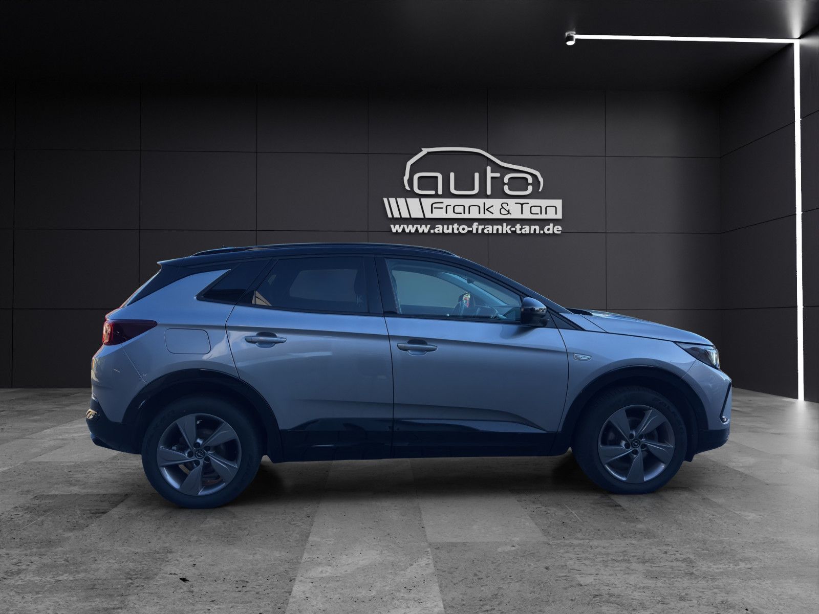 Fahrzeugabbildung Opel Grandland (X)/GS /Winter Paket/Navi/Style Paket