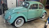 Volkswagen VW Käfer Tausch mögl. H-Kennzeichen   TÜV Neu - Volkswagen Käfer in Stuttgart