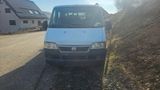Fiat Ducato 2.8 JTD Pritsche Doka AHK - Fiat Ducato: Pritsche Doka