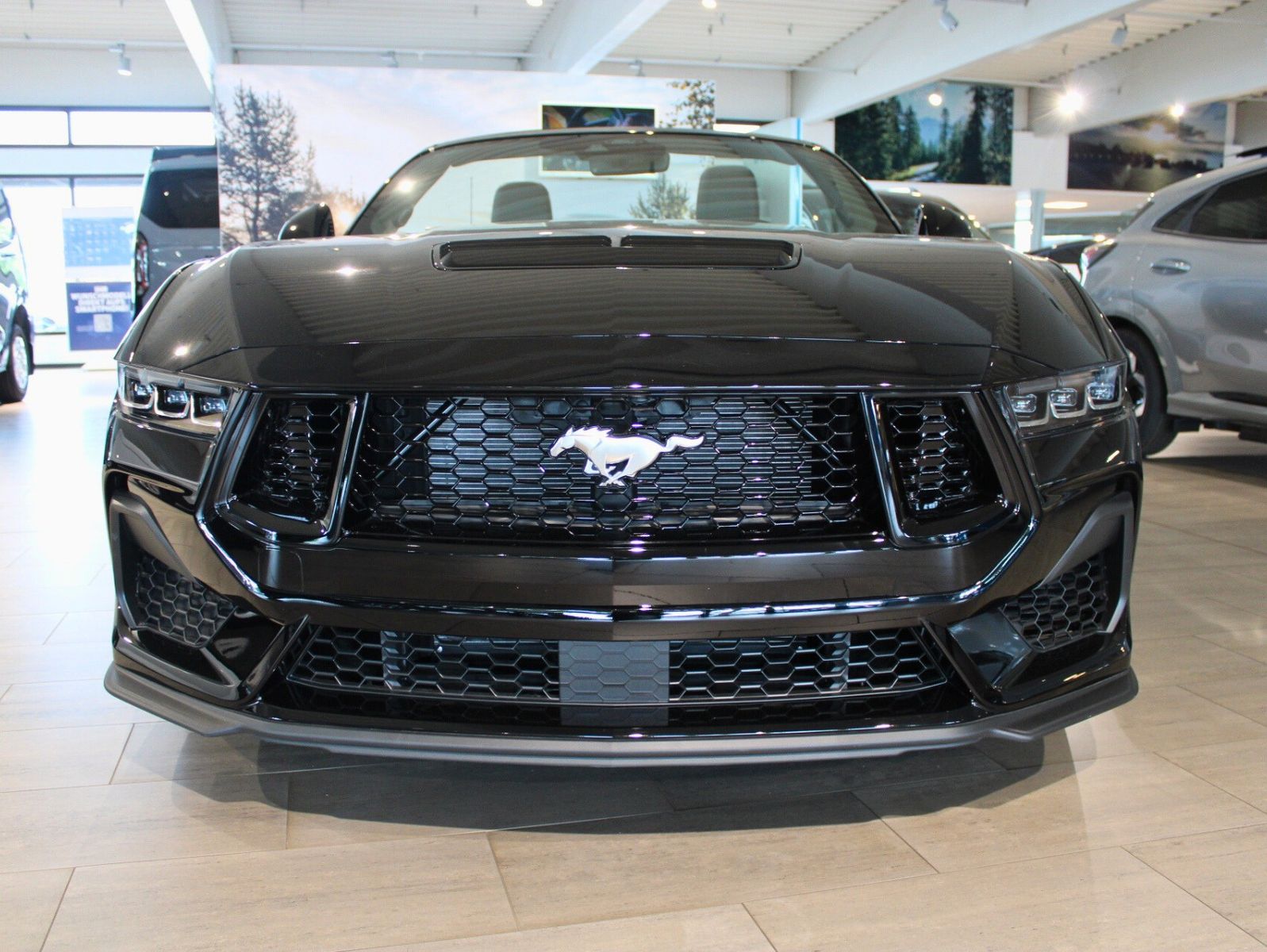 Fahrzeugabbildung Ford Mustang 5.0 V8 GT Automatik LED ACC Kamera Leder
