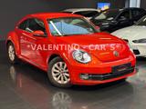 Volkswagen Beetle Lim. Design Multi/Temp/PDC/Shz/Led/Apple - Volkswagen Beetle in Wuppertal