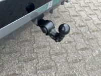 Cupra Terramar - Vorschau Bild 16