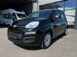 Fiat Panda (319) Base (2020->) - Fiat Panda aus 2022