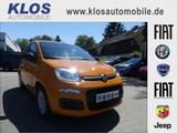 Fiat Panda EASY 1.2 69PS KLIMA RADIO SERVO ALLWETTER - gebrauchte Fiat Panda aus dem Jahr 2019
