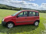 Fiat Panda - gebrauchte Fiat Panda aus dem Jahr 2003