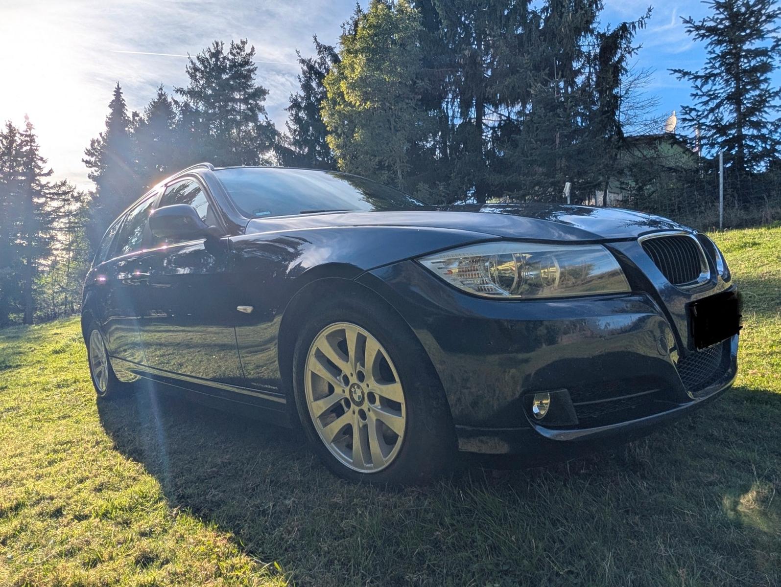 BMW 318 2011 — салон