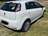 Fiat Punto 1.4 benzin - Fiat Punto Gebrauchtwagen in Hamburg