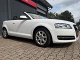 Audi A3 Cabriolet Attraction*55630Km*Tüv Au! - Audi A3: Attraction