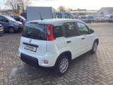 Fiat Panda Pandina 1.0 GSE 52kW Hybrid Klima, DAB - Fiat Panda Gebrauchtwagen in Hannover