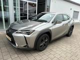 Lexus UX 200 Automatik Launch Edition - gebrauchte Lexus SUV & Geländewagen