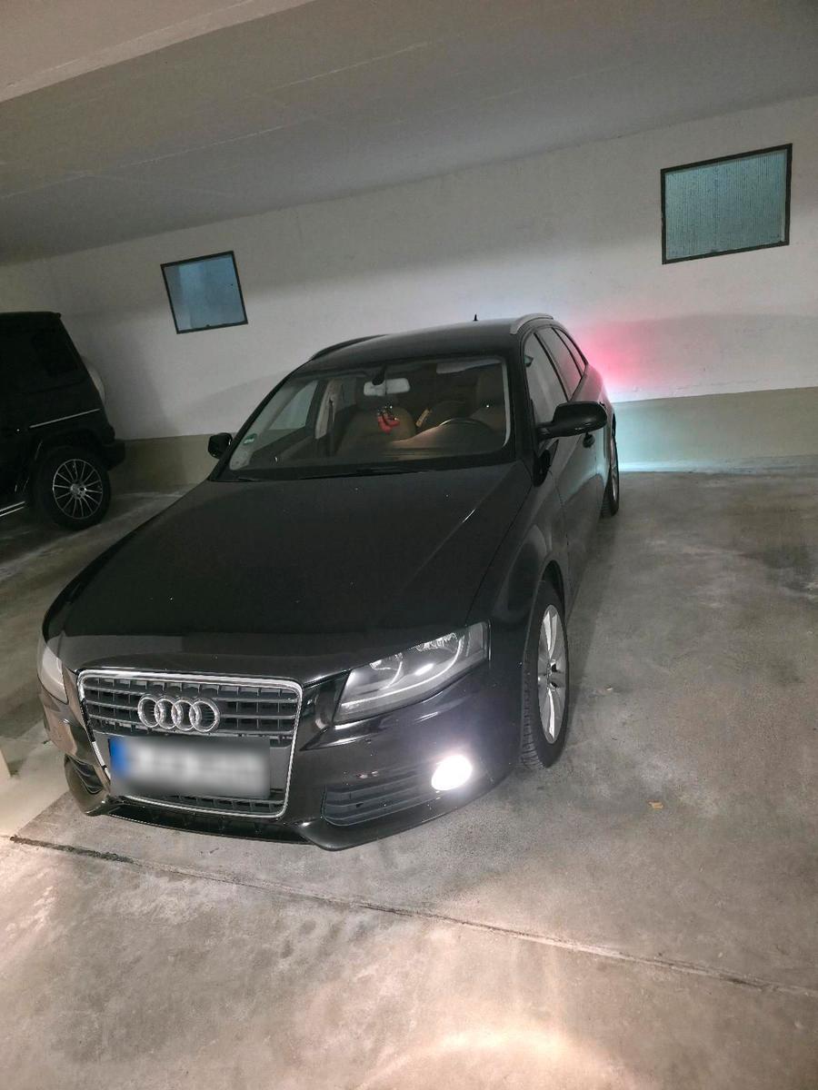 Audi A4 2010 — вигляд ззаду