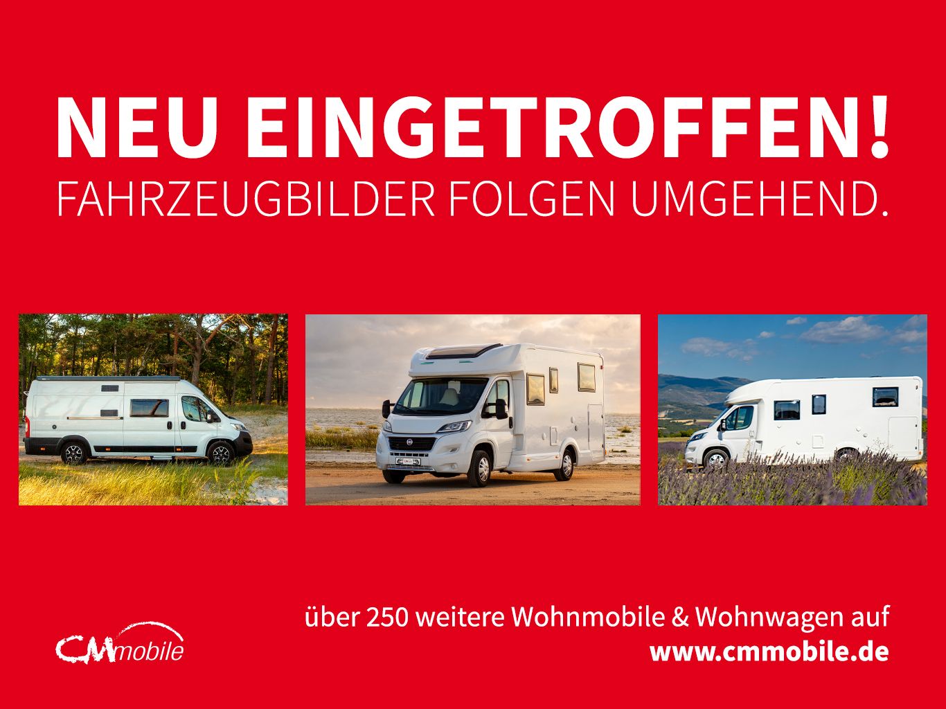 Challenger
V 114 Start Edition - Sehr gepflegt -