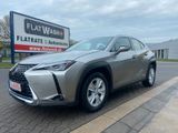 Lexus UX 250h Aut/Navi/Alcantara/LED/Kamera/Mod.2022 - Lexus in Nürnberg