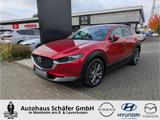 Mazda CX-30 Selection HUD SHZ Temp Navi LenkradHZG Bos - Mazda CX-30 Gebrauchtwagen in Köln