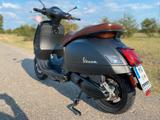Vespa GTS 300 hpe Notte- kaum KM, sehr guter Zustand - Vespa Motorräder in Ludwigshafen