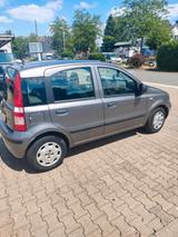 Fiat Panda - Fiat Panda Gebrauchtwagen in Düsseldorf
