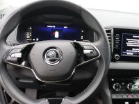 Skoda Karoq - Vorschau Bild 13