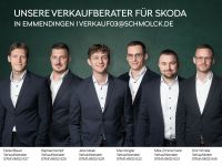 Skoda Elroq - Vorschau Bild 13