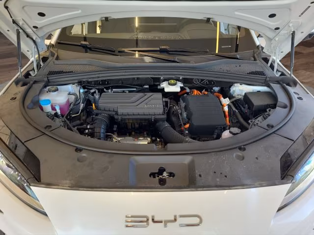 BYD Seal U DM-i Design*LED*Navi*Pano*DAB*APP*Kamera, миниатюра 21
