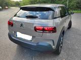 Citroën C4 Cactus PureTech 130 S&S Shine Shine - Citroën C4 Cactus in Köln