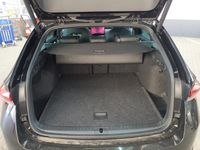 Skoda Octavia - Vorschau Bild 8