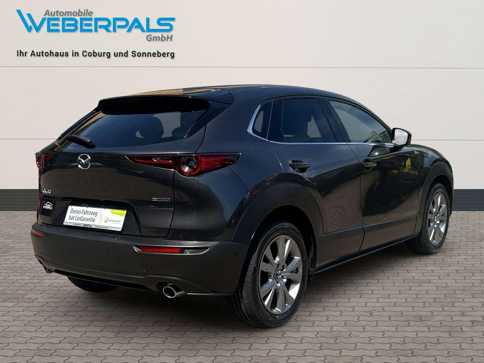 Mazda CX-30 Selection 2WD-BOSE-NAVI-360 KAMERA-MATRIX-