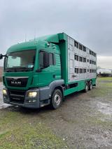 MAN TGS 26.440 Vieh- / Schweine Transport  LKW
