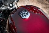 Harley-Davidson XL1200L Sportster 1200 Super Low - Miller - Motorräder in Bonn