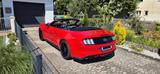 Ford Mustang 5.0 V8 Cabrio  Performance Package - Ford Mustang: Performance
