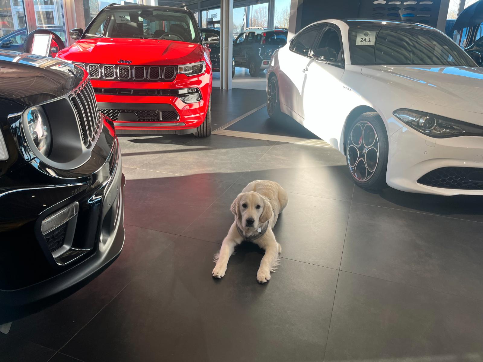 showroom-image-bottom