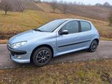 Peugeot 206; 1.4 Grand Filou 75 Grand Filo... - Peugeot 206 aus 2006: 1.4