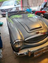 Austin Healey 3000 - Austin Healey Gebrauchtwagen von 1961
