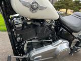 Harley-Davidson Fat Boy FLFB 107 - Harley-Davidson Motorräder in Kassel