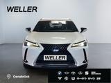 Lexus UX 250h Style Edition *Bi-LED*ACC*CAM*SHZ*CarPla - graue Lexus UX