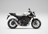 Honda CB500 Hornet Neu - Finanzierung - Offers matching your search criteria