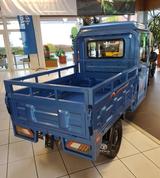 Andere Elektrofrosch Cargo Trike Andere Pritsche kippba - Andere Gebrauchtwagen