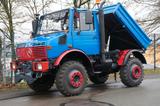 Unimog 427/12 1600 1200 - Offers matching your search criteria