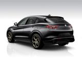 Alfa Romeo Stelvio Intensa 2.0 Turbo 16V 280PS Q4 AT8 AHK   - Alfa Romeo Stelvio Gebrauchtwagen