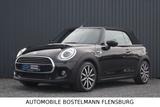MINI COOPER CABRIO DIGITAL-COCKPIT/NAVI/LEDER/LED/1HD - MINI Cooper Cabrio: D