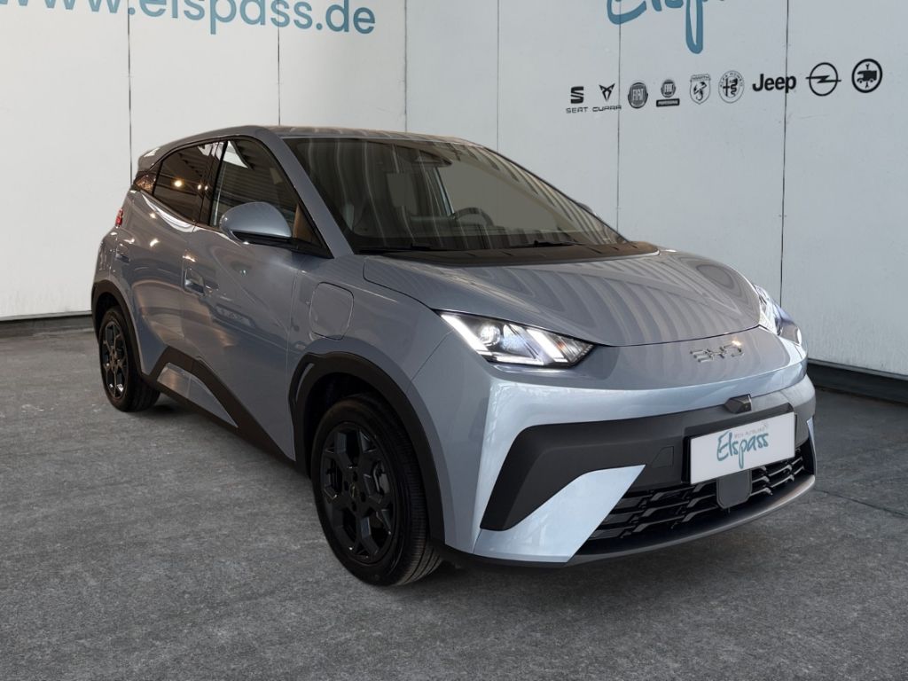 BYD DOLPHIN SURF