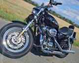 Harley-Davidson Sportster 1200 XL C - Angebote