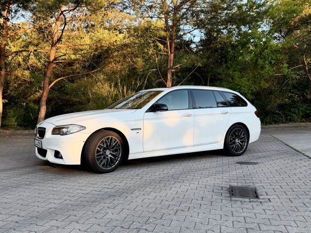 BMW BMW 520d F11 / M-Paket / Alcantara / Carbon