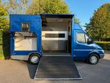 Mercedes-Benz Sprinter Pferdewagen Horsetruck - Mercedes-Benz Sprinter aus 2001