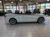 Audi A5 Cabriolet 3.0 TFSI quattro - Audi A5: 3.0