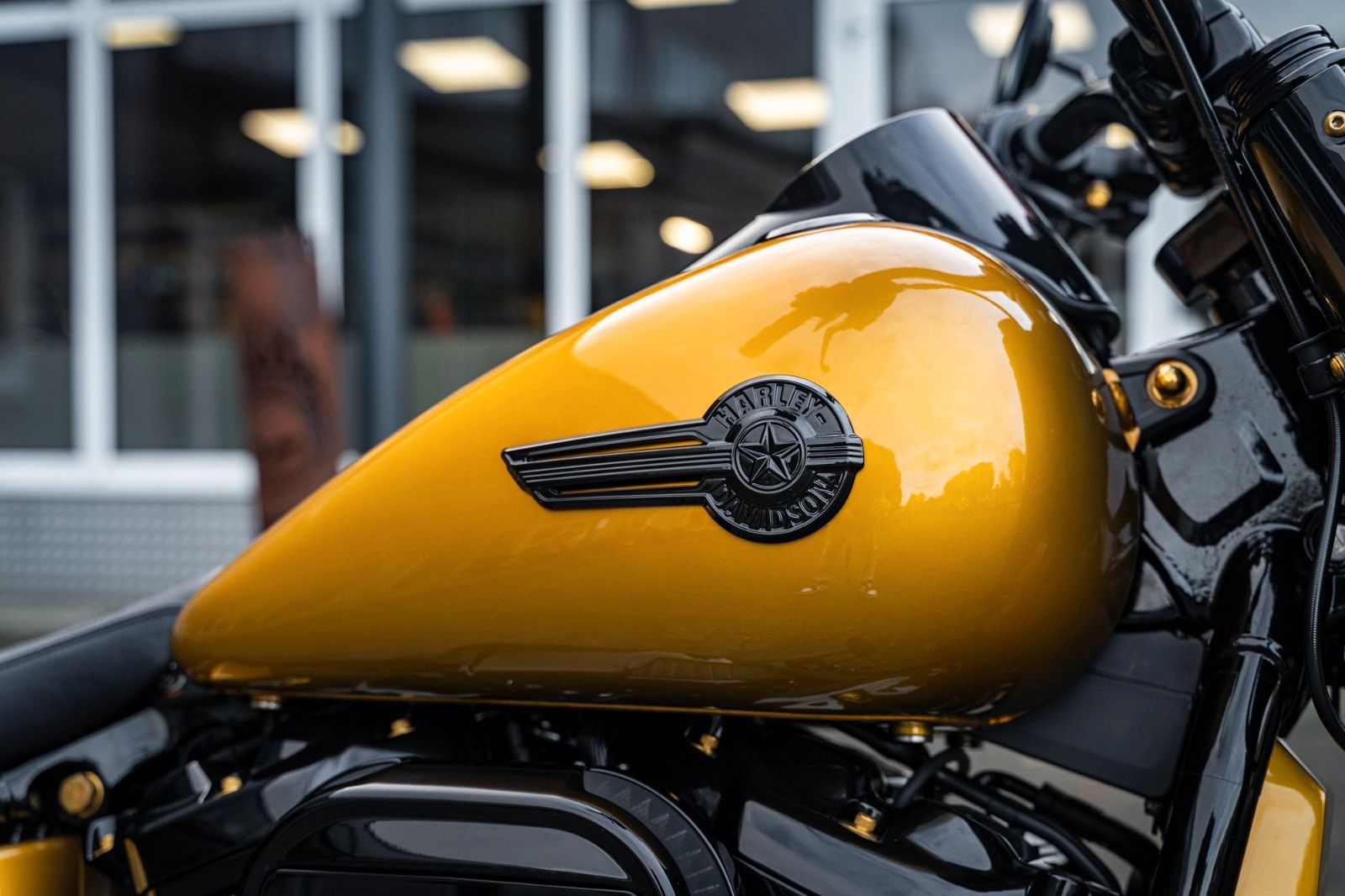 Fahrzeugabbildung Harley-Davidson GOLD DARK FAT BOY FLFBS 114 MY24 - JEKILL&HYDE -